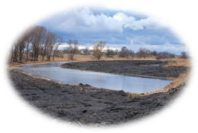 У Петриківському районі вже розчистили близько 5 км річки Чаплинка .  Суспільство ДНІПРОГРАД
